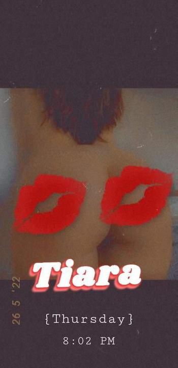 2693406053, female escort, South Bend