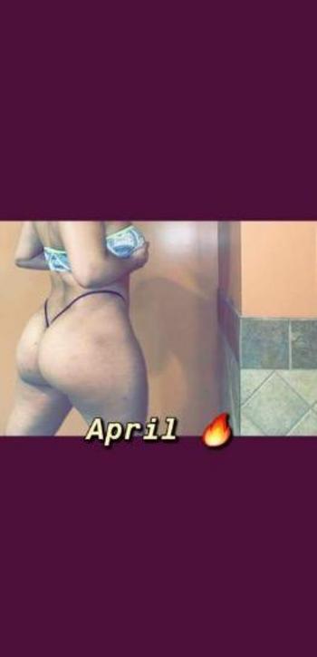 3136392301, female escort, South Bend